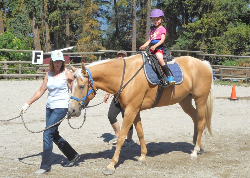 Creston’s Therapeutic Riding Program preparing for Art Trot fundraiser